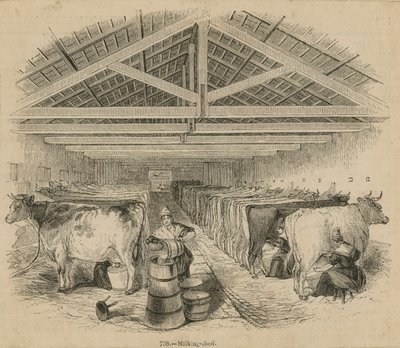 Laycocks Dairy Farm, datato luglio 1841 da English School