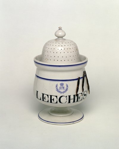 Vaso per sanguisughe da English School