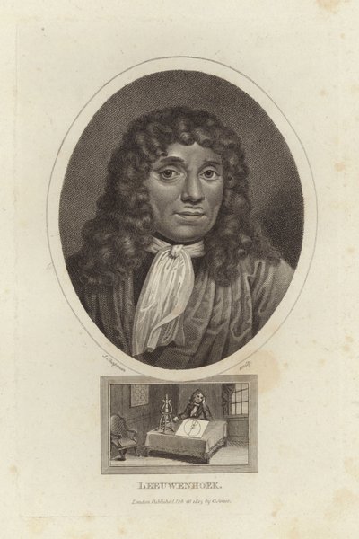 Leeuwenhoek da English School