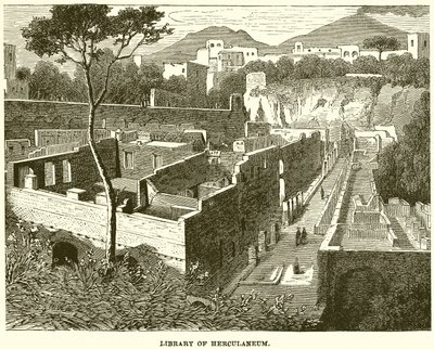 Biblioteca di Ercolano da English School