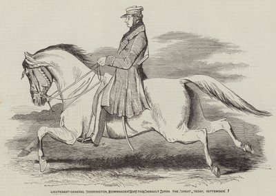 Tenente Generale Codrington, comandante dell
