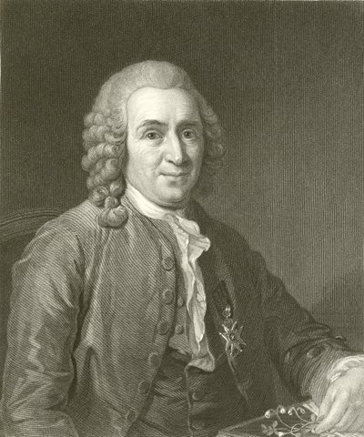 Linnaeus da English School