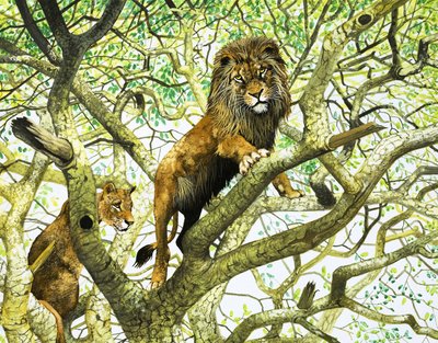 Leone e leonessa su un albero (gouache su carta) da English School