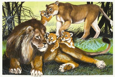 Leone, leonessa e cuccioli da English School