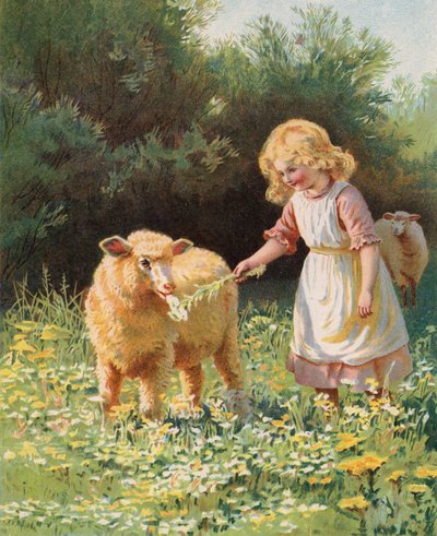 Bambina che dà un fiore a una pecora in un prato da English School