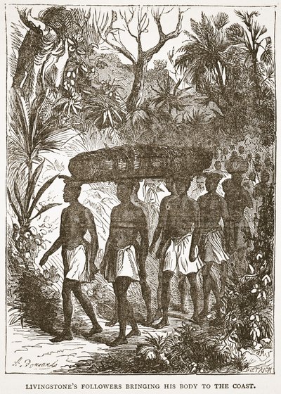 I seguaci di Livingstone che portano il suo corpo alla costa, illustrazione da L