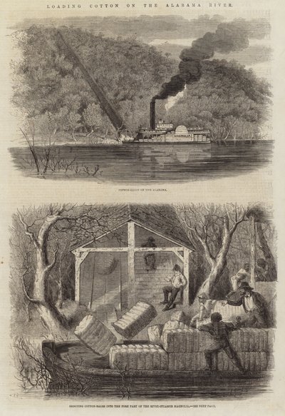 Caricamento del cotone sul fiume Alabama da English School