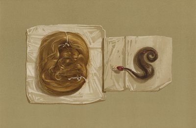 Ciocca di capelli di Maria Regina di Scozia, ciocca di capelli di Re Carlo I (cromolitografia) da English School