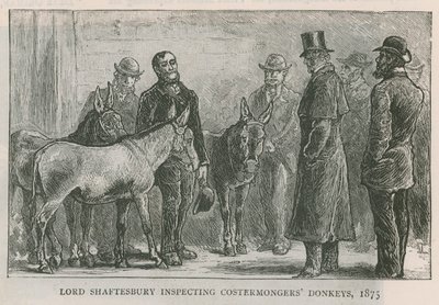 Lord Shaftesbury ispeziona gli asini dei costermongers da English School