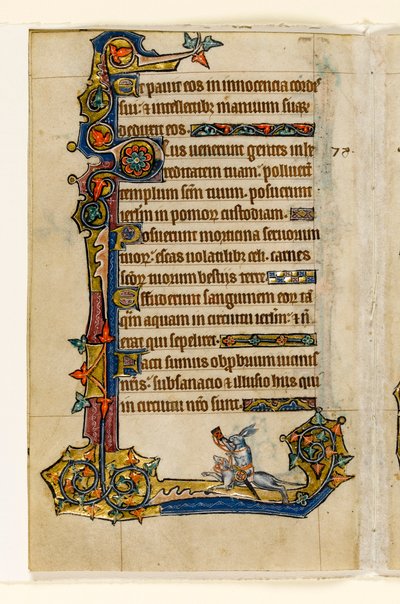 MS 1-2005, fol. 115v: Un coniglio che cavalca un segugio, caccia, decorazione marginale dal Salterio di Macclesfield, Uso di Sarum, East Anglia, c.1330 da English School