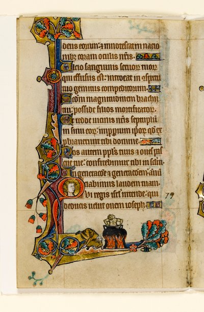 MS 1-2005, fol. 116v: Nel calderone, decorazione marginale dal Salterio di Macclesfield, Uso di Sarum, East Anglia, c.1330 da English School