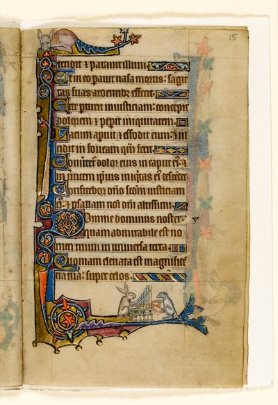 MS 1-2005, fol. 15r: Una lepre e un cane che suonano un organo, decorazione marginale dal Salterio di Macclesfield, Uso di Sarum, East Anglia, c.1330 da English School