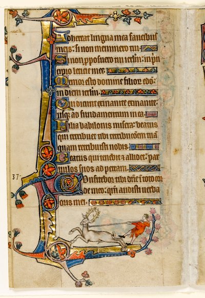 MS 1-2005, fol. 193v: Un cervo lassoato da un uomo, decorazione marginale dal Salterio di Macclesfield, Uso di Sarum, East Anglia, c.1330 da English School