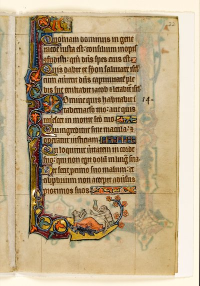 MS 1-2005, fol. 22r: Il medico-scimmia e il suo paziente orso, decorazione marginale dal Salterio di Macclesfield, Uso di Sarum, East Anglia, c.1330 da English School