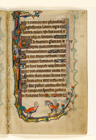 MS 1-2005, fol. 29r: Due grotteschi simili a uccelli, decorazione marginale dal Salterio di Macclesfield, Uso di Sarum, East Anglia, c.1330 da English School