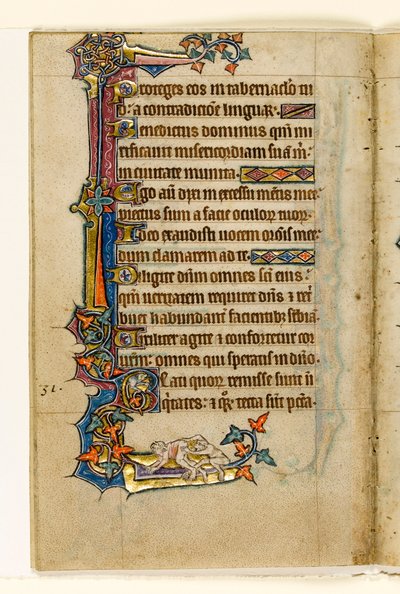 MS 1-2005, fol. 45v: Una scimmia che guarda nel sedere di un uomo, decorazione marginale dal Salterio di Macclesfield, Uso di Sarum, East Anglia, c.1330 da English School