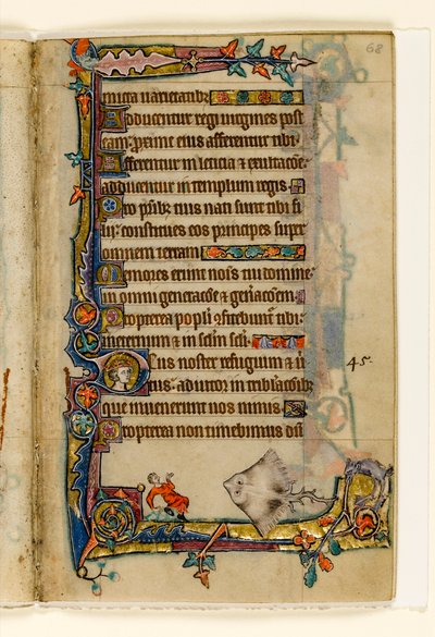 MS 1-2005, fol. 68r: Il gigante skate, decorazione marginale dal Salterio di Macclesfield, Uso di Sarum, East Anglia, c.1330 da English School