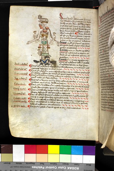 MS Hunter 251 f.47v, illustrazione di un 