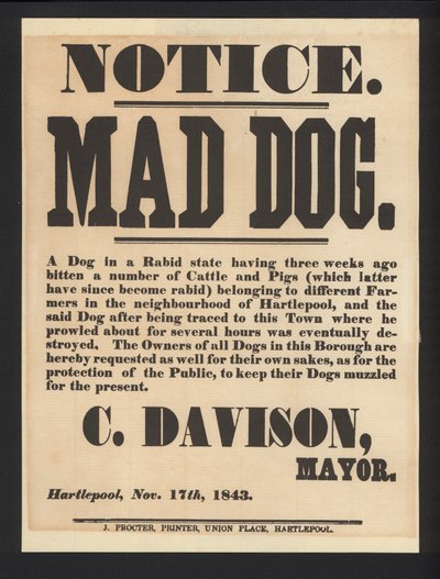 Avviso di Cane Rabbioso, Hartlepool, 1843 da English School