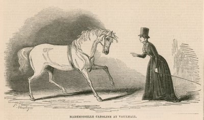 Mademoiselle Caroline ai Vauxhall Gardens, Londra da English School