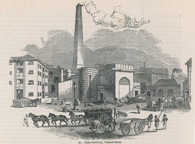 Distilleria di malto sulla riva del Tamigi da English School