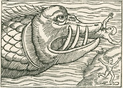Uomo mangiato da un serpente marino. Illustrazione trovata sul margine di una mappa preparata da Olaus Magnus da English School