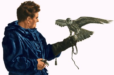 Uomo con un uccello rapace da English School