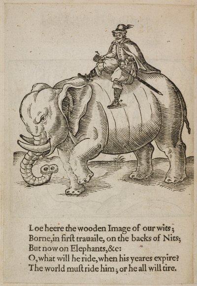 Uomo che cavalca un elefante, illustrazione da 