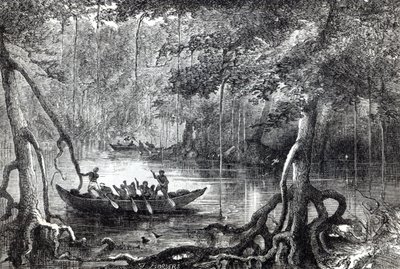 Foresta di mangrovie, frontespizio dell