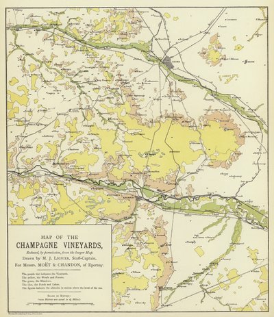 Mappa dei vigneti della Champagne da English School