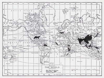 Mappa del mondo che mostra i paesi produttori di riso da English School
