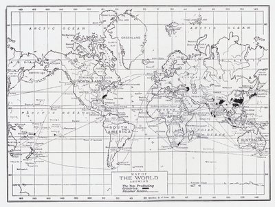 Mappa del mondo che mostra i paesi produttori di tè da English School