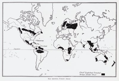 Mappa che mostra le aree forestali da English School