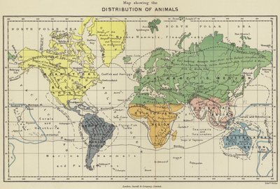 Mappa che mostra la distribuzione degli animali (litografia a colori) da English School
