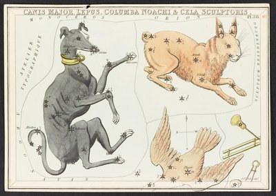 Canis Major Lepus, da 