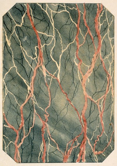 Effetti di marmorizzazione: pagina da un libro di modelli vittoriani, pubblicato nel 1880 da English School