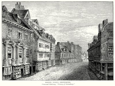 Mardol Street, Shrewsbury (incisione) da English School