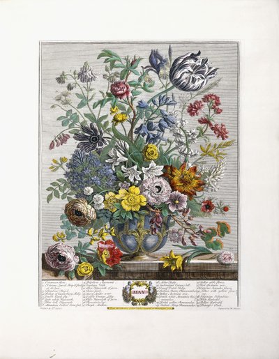 Maggio, 1730 da English School