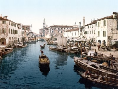 Mercato del Pesce, Chioggia da English School
