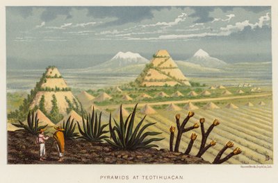 Messico: Piramidi di Teotihuacan da English School