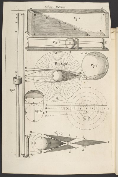 Micrographia, o alcune descrizioni fisiologiche di corpi minuti fatte con lenti d