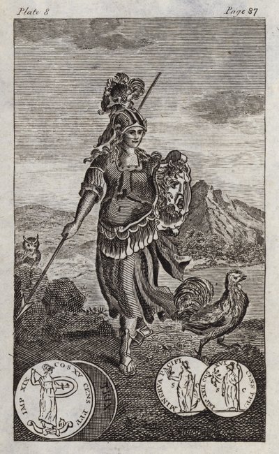 Minerva, o Pallade (incisione) da English School
