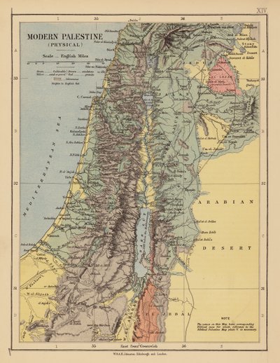 Palestina moderna da English School