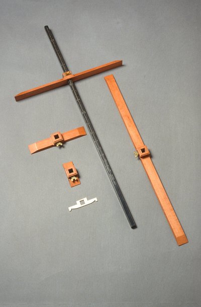 Replica moderna di un bastone incrociato di Harriet Wynter Ltd. da English School