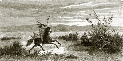 Cavaliere Mohave da English School
