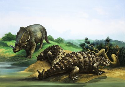 Monoclonius e Scolosaurus da English School