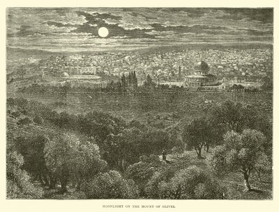 Chiaro di luna sul Monte degli Ulivi da English School
