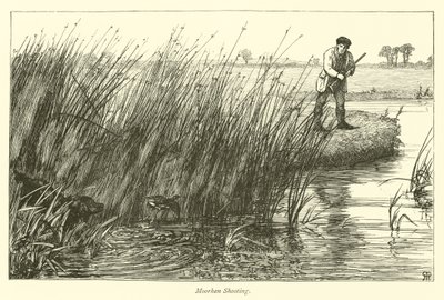 Caccia alla gallinella d