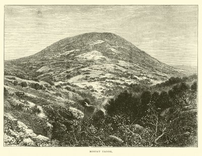 Monte Tabor da English School