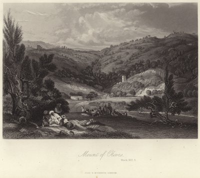 Monte degli Ulivi da English School